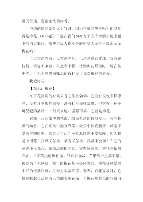 借物喻人的作文600字梅花.docx