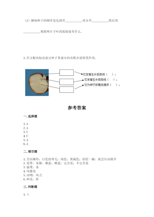 科学四年级下册第一单元植物的生长变化测试卷附完整答案（夺冠系列）.docx