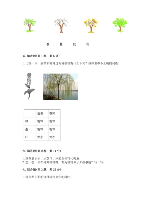 教科版科学一年级上册第一单元《植物》测试卷含答案（名师推荐）.docx