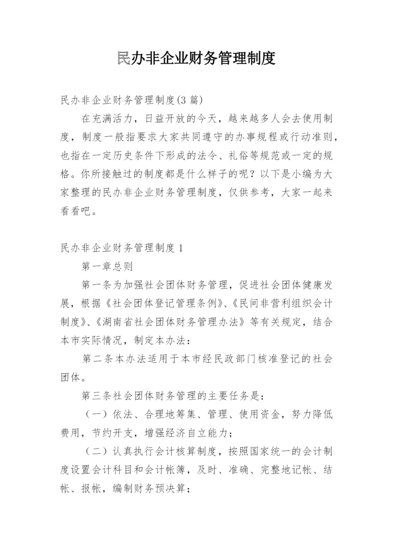 民办非企业财务管理制度.docx