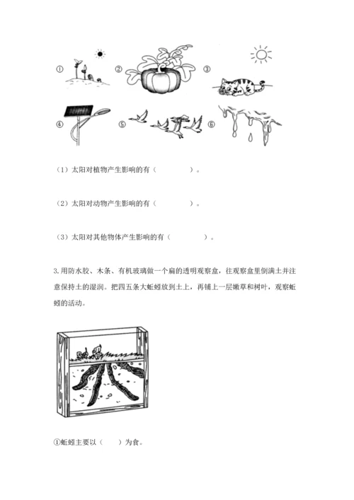 教科版二年级上册科学期末测试卷附完整答案（易错题）.docx