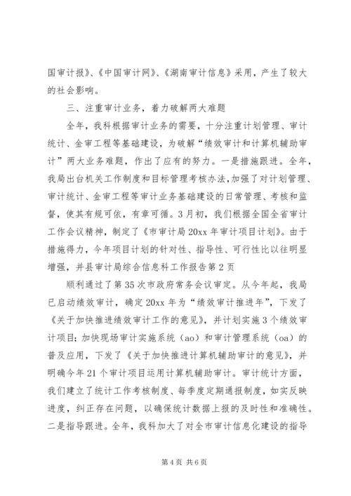 县审计局综合信息科工作报告.docx