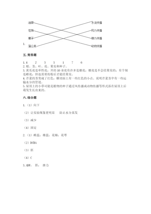 科学四年级下册第一单元《植物的生长变化》测试卷及1套参考答案.docx