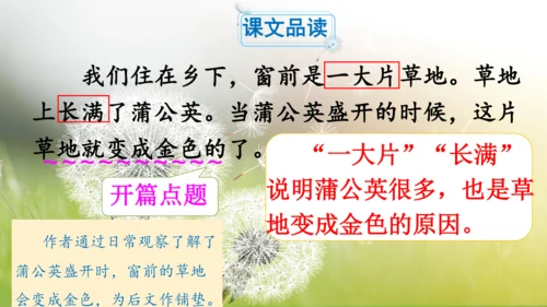 第16课《金色的草地》（第二课时）课件