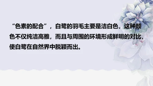《1 白鹭》课件