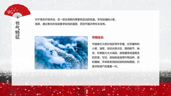 中国传统二十四节气大寒PPT教学课件