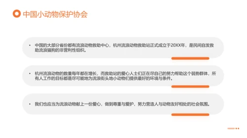 关爱流浪动物，流浪猫PPT模版