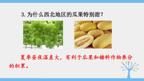 8.1 自然特征与农业（课件35张）-2024-2025学年人教版地理八年级下册