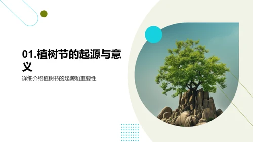 绿色行动：植树篇