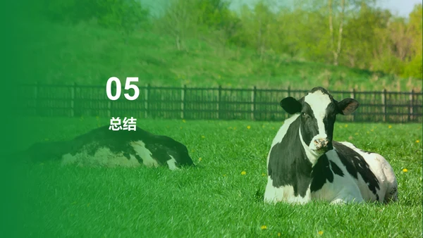 绿色现代养殖流程管理与疾病预防PPT模板