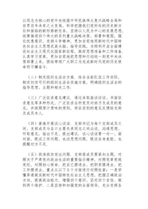 党支部组织生活会实施方案.docx