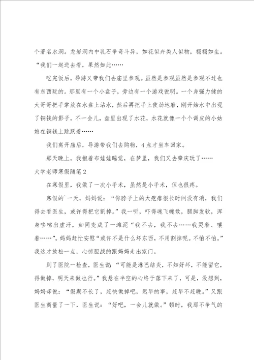 大学老师寒假随笔