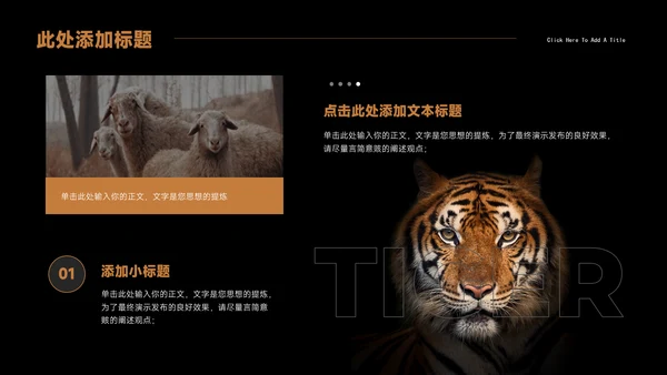 Tiger老虎通用PPT演示模板