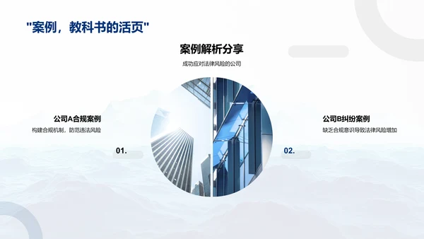 企业法律风险防控PPT模板