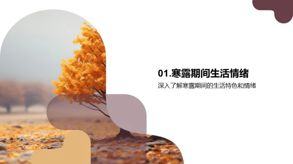 寒露节气品牌传播策略