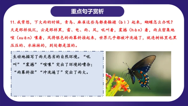 统编版语文四年级上册第二单元（复习课件）