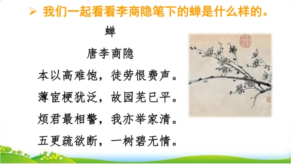 10.单元整理课