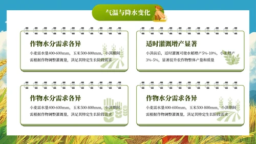 小满节气插画风教育通用模板PPT模板