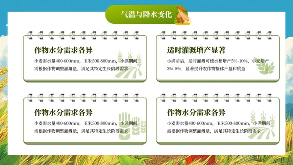 小满节气插画风教育通用模板PPT模板