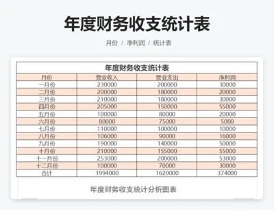年度财务收支统计表
