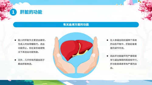 全国爱肝日肝病知识宣传PPT模板