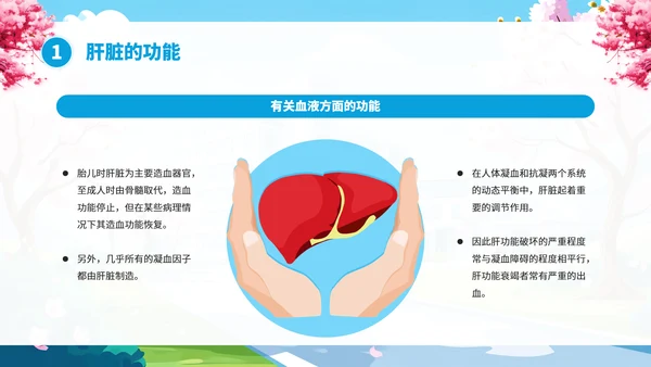 全国爱肝日肝病知识宣传PPT模板