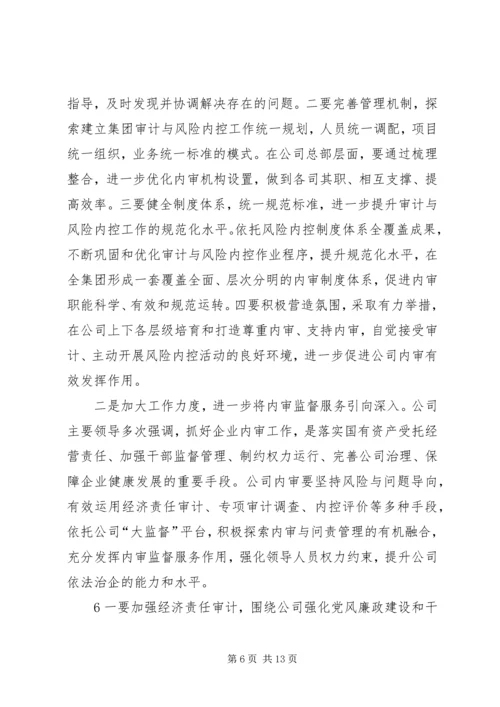 内审分管领导讲话(精) (2).docx