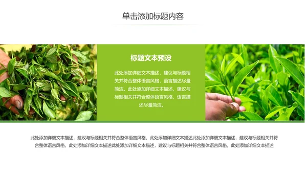 茶文化茶叶绿茶产品介绍动态PPT模板