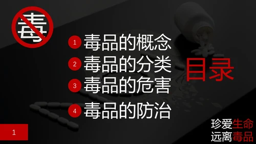 珍爱生命禁毒无毒PPT