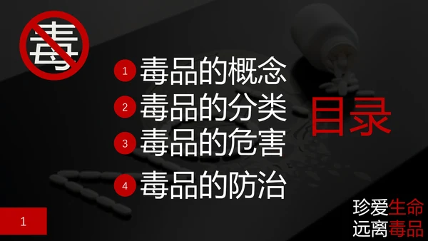 珍爱生命禁毒无毒PPT