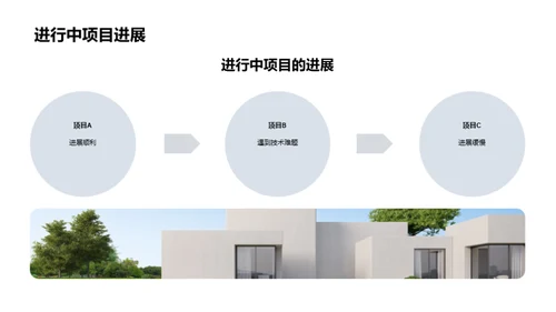 项目进程分析与未来规划