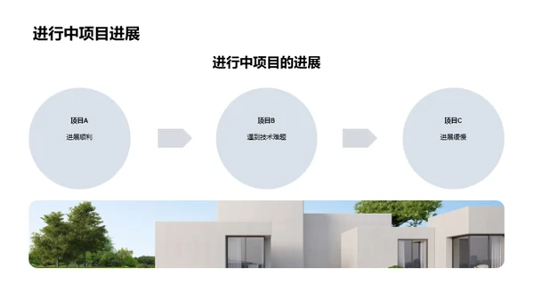 项目进程分析与未来规划
