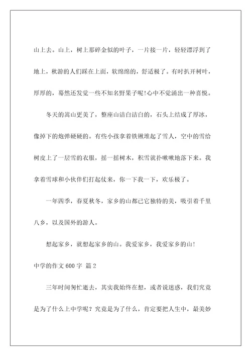 高中的作文600字191