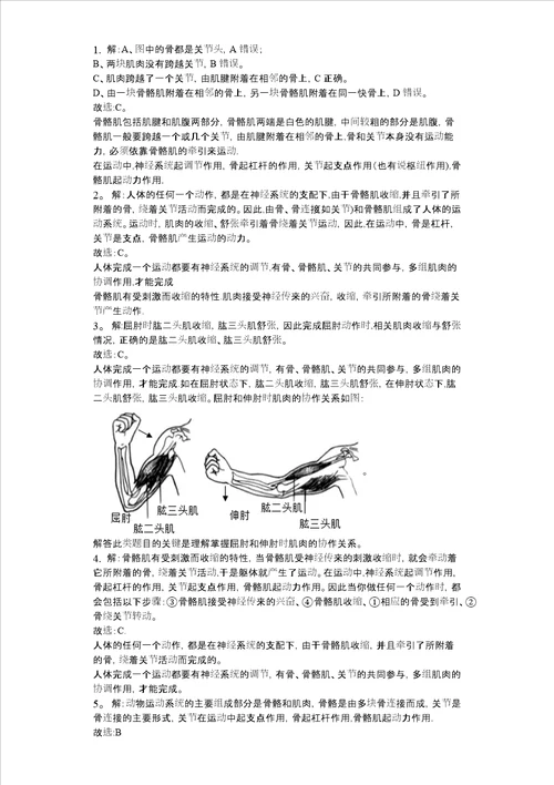 北师大版八年级生物上册152动物运动形成同步练习版，含答案解析