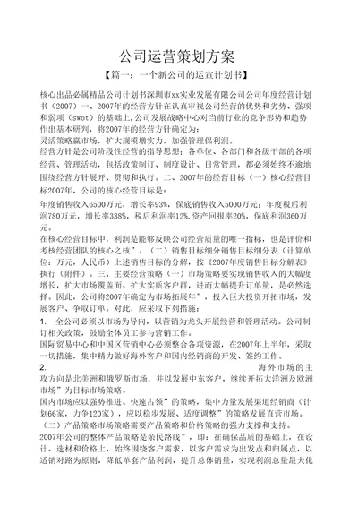 公司运营策划方案