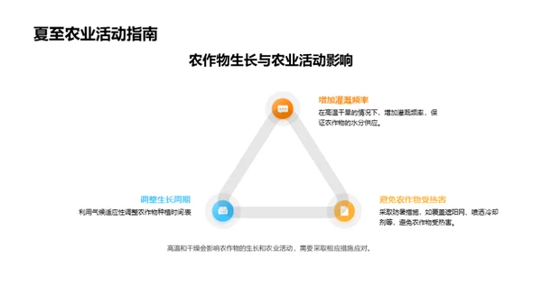 夏至气象与农业互动