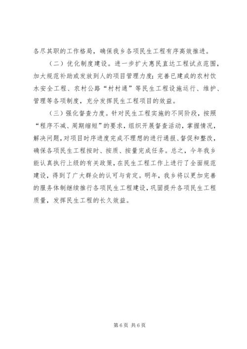 乡镇年度民生工程工作总结及工作计划.docx