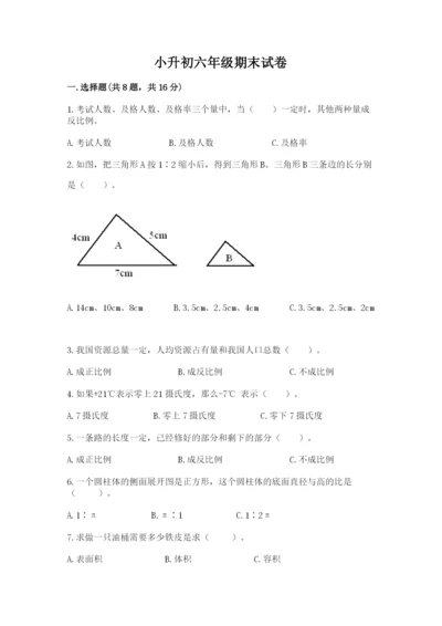 小升初六年级期末试卷（巩固）.docx