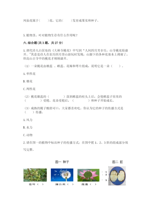 教科版四年级下册科学第一单元《植物的生长变化》测试卷（夺冠）.docx