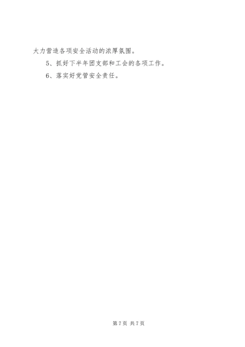 某某项目部上半年党建工作总结及下半年党建工作计划 (2).docx