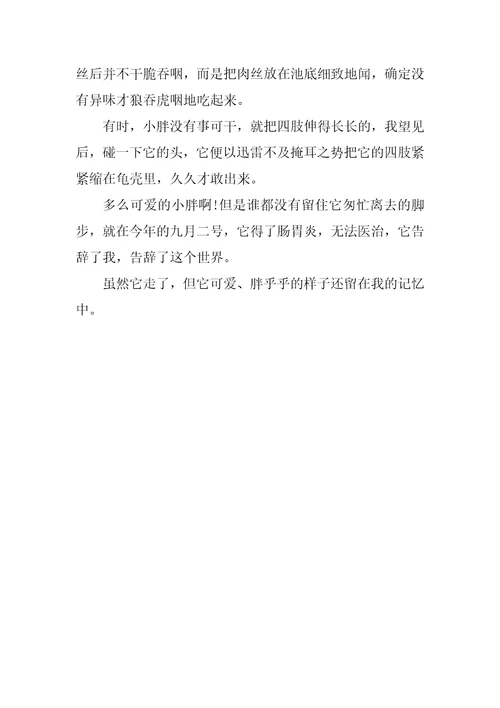 最新我的动物朋友满分作文