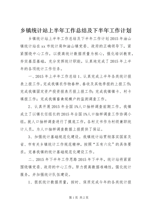 乡镇统计站上半年工作总结及下半年工作计划.docx