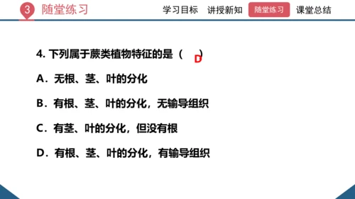 3.1.1 藻类、苔藓和蕨类植物课件 2023--2024学年人教版生物七年级上册(共26张PPT)