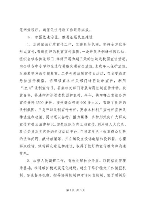 乡镇年度依法行政工作总结.docx