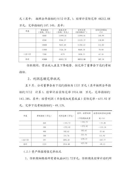 公司任期经济责任设计标准报告.docx