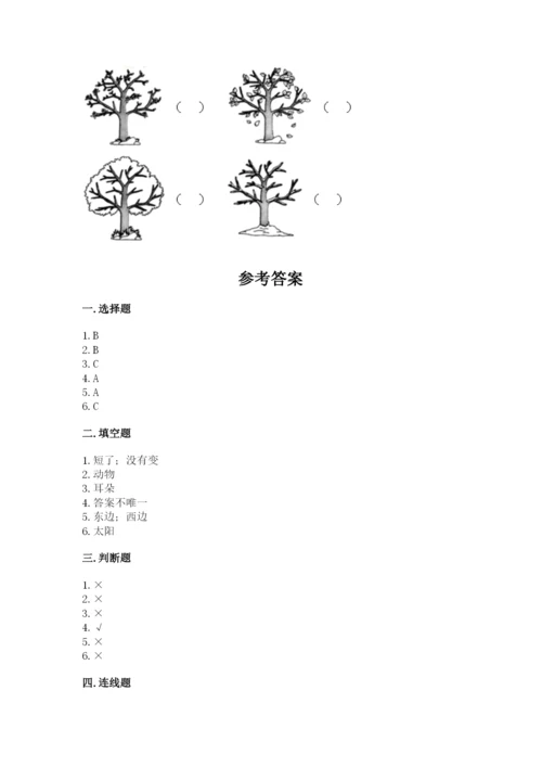 教科版小学二年级上册科学期末测试卷【夺冠系列】.docx