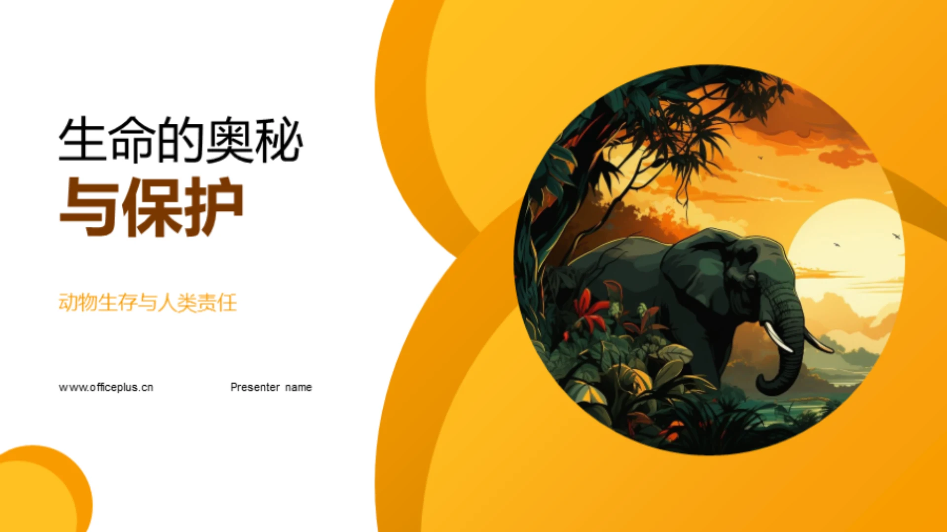 生命的奥秘与保护