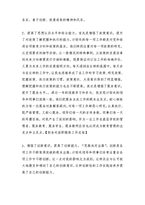财务处挂职锻炼工作总结