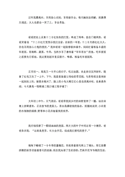 关于度过春节的节日作文3篇