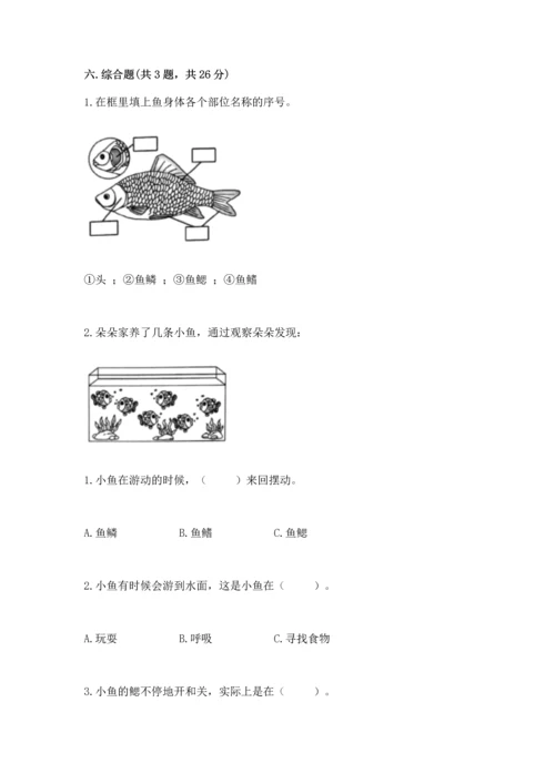 教科版一年级下册科学期末测试卷（轻巧夺冠）.docx